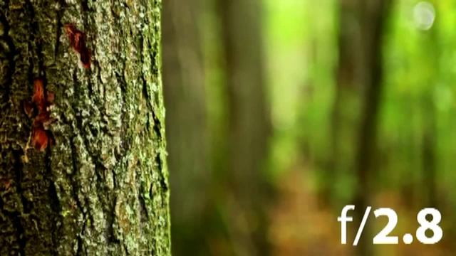 Начинающему фотографу Размытие фона смотреть онлайн