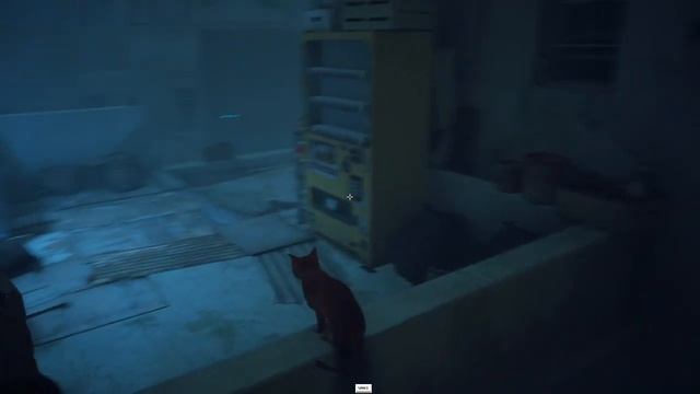 Прохождение игры Stray на русском языке для ПК #1 смотреть онлайн