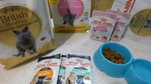 ROYAL CANIN корм для кошек Британская короткошерстная! Какой КОРМ ест наша кошка! British Shorthair