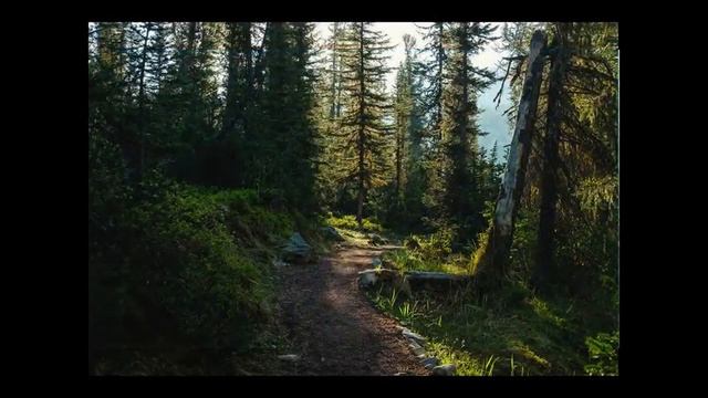 Голубая тайга - Ольга Тимофеева смотреть онлайн