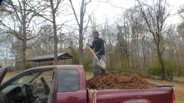 FARM FUN HARNESSING THE POWER OF HORSE MANURE @ MY EXOTIC SECRETS Medium смотреть онлайн