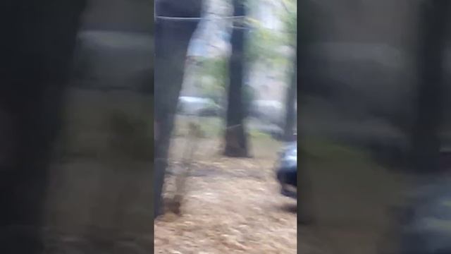 Лёва превращается в оборотня что с ним не так смотреть онлайн