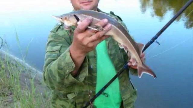 Ходят бродят у реки мужики-рыбаки смотреть онлайн