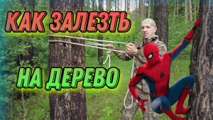 💥Как залезть на любое дерево?🔥