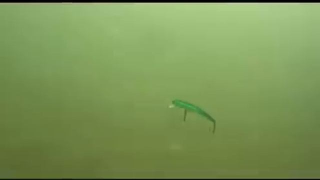 Pontoon 21 Shallow First Action