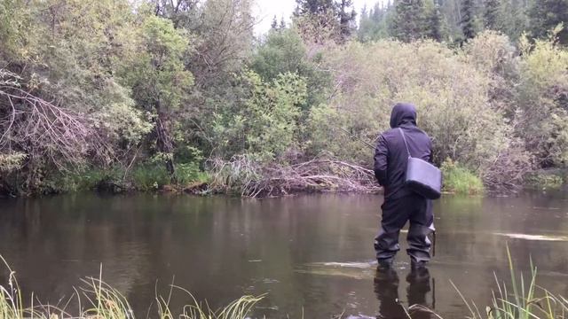 Ловили хариуса в маленькой речушке (Тыва). смотреть онлайн
