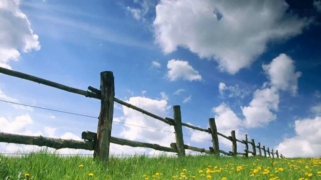 ОДУВАНЧИКИ, ОДУВАНЧИКИ... смотреть онлайн