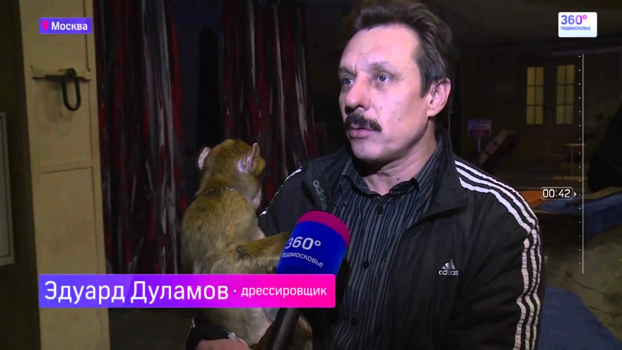 Москва 360 РЕПЕРТУАРНЫЙ ЦИРК смотреть онлайн