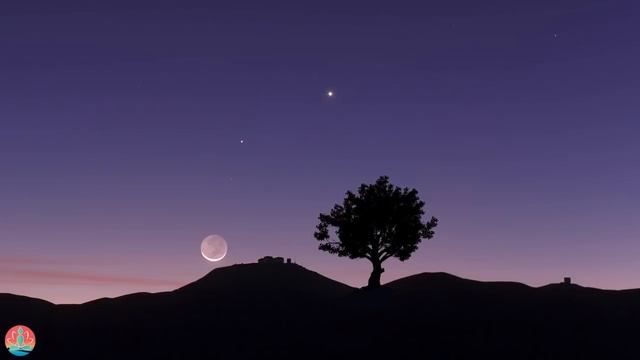 Sleep Meditation Music, Beautiful Calming Sleep Music, Helping you to Sleep & Heal - #115 смотреть онлайн