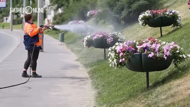 Для оформления Казани в этом году было выращено 4 млн. цветов смотреть онлайн