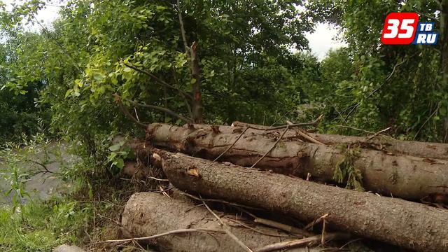 Земельные участки для многодетных семей обустраивают в Заягорбском районе Череповца смотреть онлайн