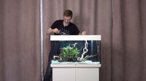 Запуск и оформление растительного аквариума