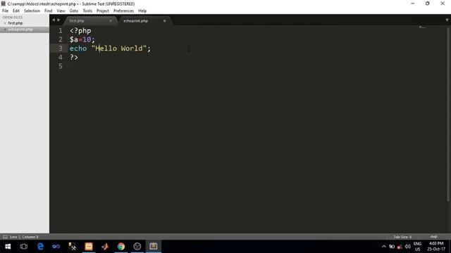 PHP echo and print statements in hindi смотреть онлайн