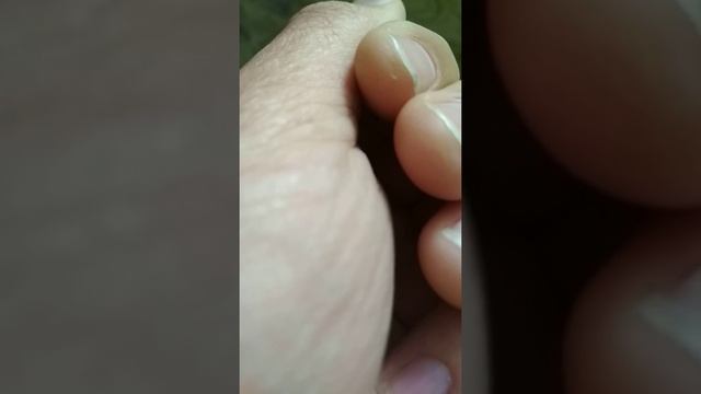 A real firefly смотреть онлайн