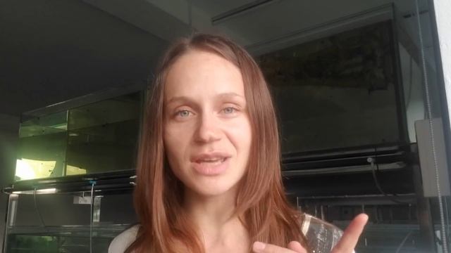 Как подготовить воду для красного неона Cardinal Tetra. Запуск аквариума. Главные секреты содержани смотреть онлайн
