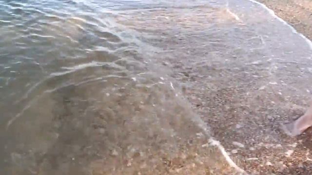 Смешная такса и наглый краб HD смотреть онлайн