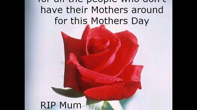 Bette Midler  The Rose    Mothers Day   X  Rip Mom 0001