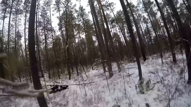 Регион 88 | Промысел соболя 2022. Часть 10 смотреть онлайн