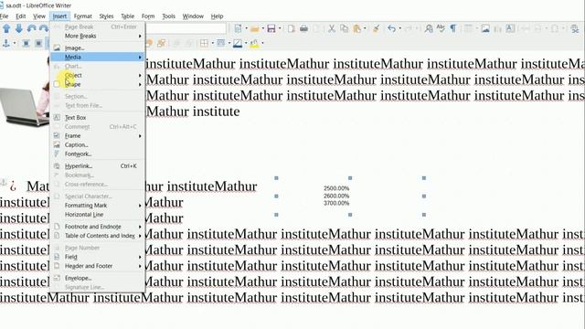 LIBRE OFFICE WRITER VIEW AND INSERT MENU смотреть онлайн