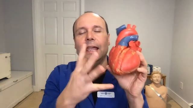 ? Heart Attack vs. Cardiac Arrest ⚕️ смотреть онлайн