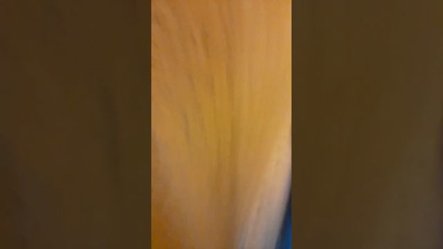 как думайте что появится во 2 части? а зачем думать она уже вышла там очень интересно