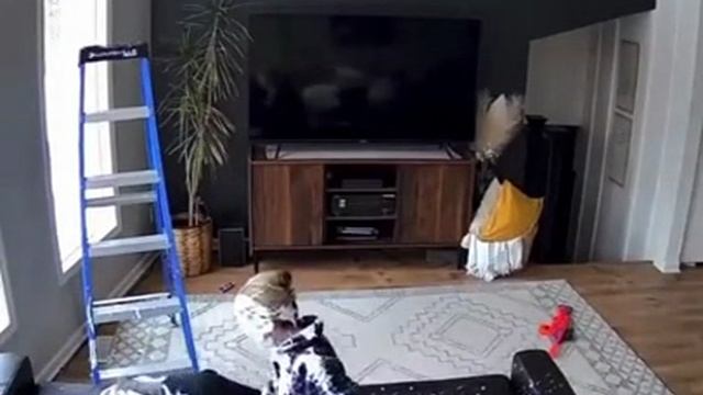 очень смешно смотреть онлайн