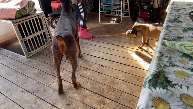 Хатанга смотреть онлайн