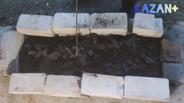 Зоопарк и Дикие Животные