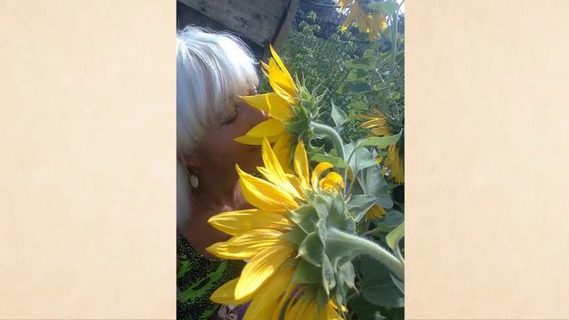 Ты веди меня река смотреть онлайн