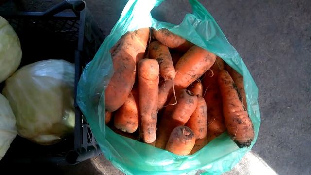 Заготовки на зиму продолжаются. Что купили в зиму. Покажу свой погреб. Штукатурим фундамент. смотреть онлайн