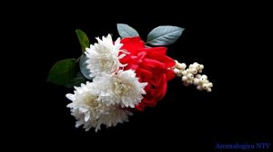 Лечебная музыка Моцарта ? Ускоряет Процесс Выздоровления.