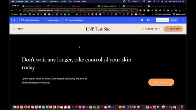 Salient Wordpress Theme - Footer Beginner Tutorial Series (How to use Global Sections) смотреть онлайн