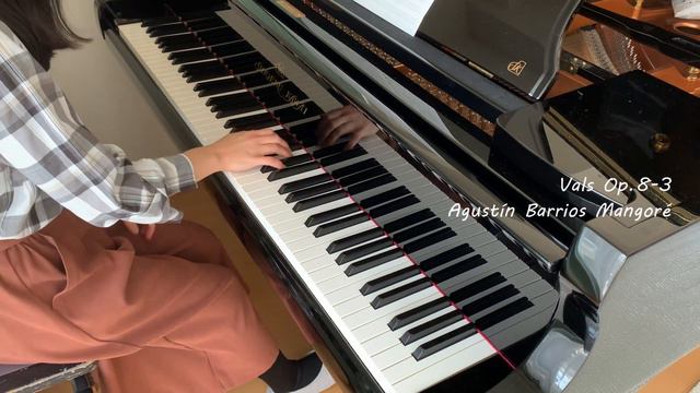 [pf/gt]Vals Op.8-3/Agustin Barrios Mangoré смотреть онлайн