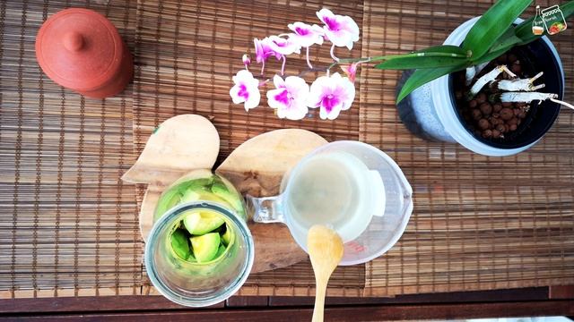 Probiotic Rich Avocado / Fermented Avocado / Lacto Fermented Avocado