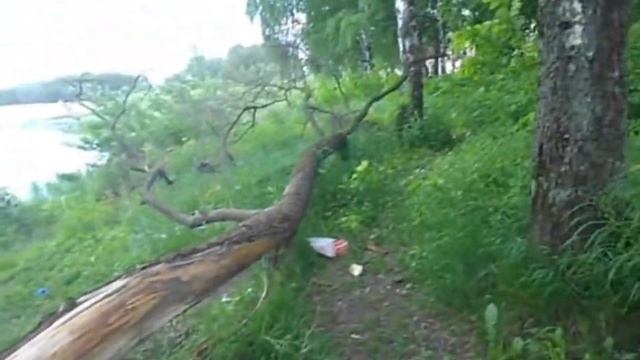 Ива 100 лет смотреть онлайн