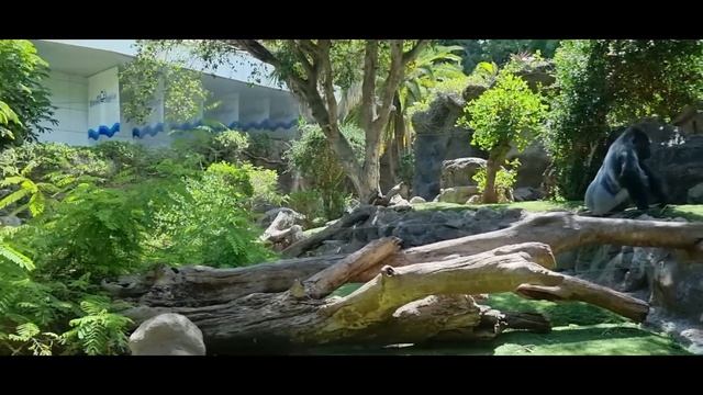 TENERIFE , Our Trip To Tenerife (Subtitle) смотреть онлайн