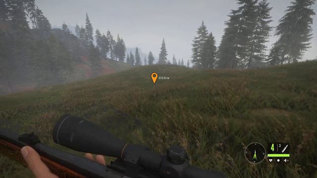 theHunter: Call of the Wild™ HD #38 Хиршфельден (без комментариев) 1440p60 смотреть онлайн