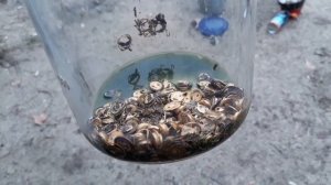 Скрытое золото в транзисторах 2Т603А.