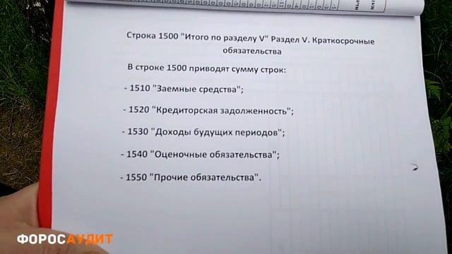 БУХУЧЕТ ДЛЯ НАЧИНАЮЩИХ 075 Как обязательства представлять в балансе смотреть онлайн