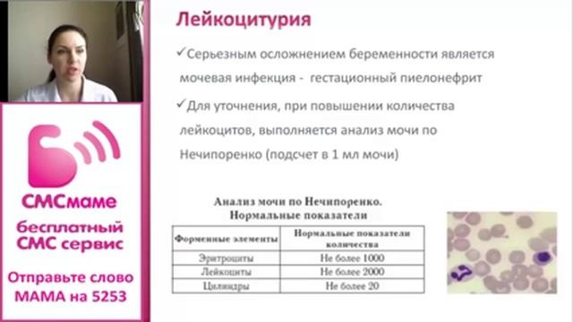 Беременность и почки. Анализы мочи во время беременности смотреть онлайн