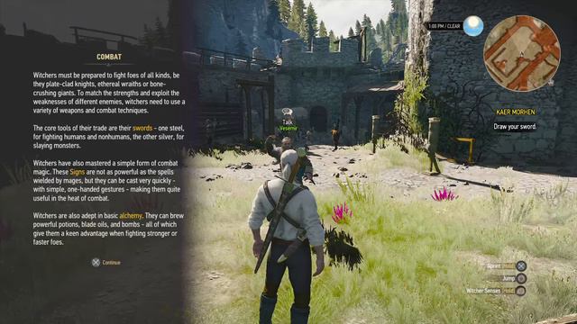 The Witcher 3 PS4 Gameplay