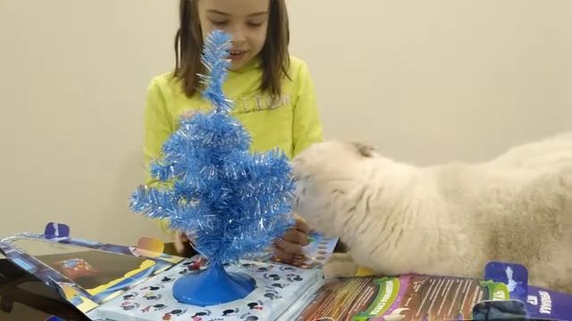 БОНСТИКИ 4! Коробка с ёлкой! Распаковка. Собираем новую коллекцию #bonsticks4 смотреть онлайн