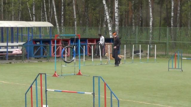 Зарецкий Александри Эшли. Гемблерз. смотреть онлайн