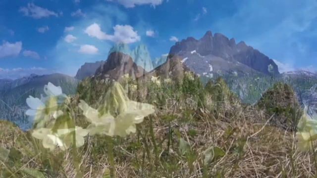 Природный парк 