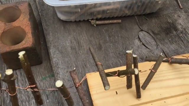 ?♀️??ОПЯТЬ КРЕАТИВЛЮ /ТВОРЧЕСТВО НА ДАЧЕ / КРАСИВЫЙ ШАР ??? / ИЗ СУХИХ ВЕТОК ДЕРЕВА ??? смотреть онлайн