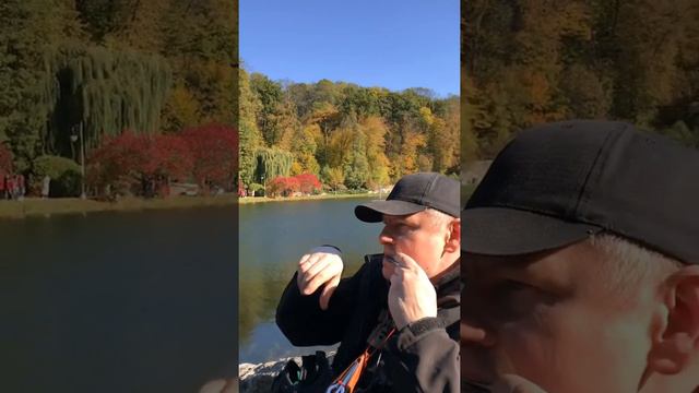 Хомус Комиссарова Ф. смотреть онлайн