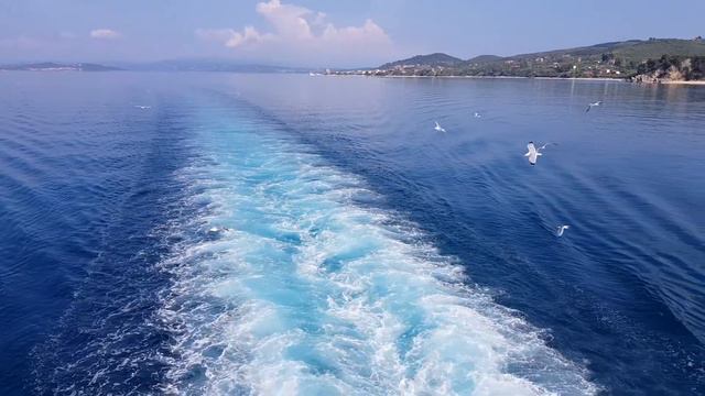 Чайки сопровождают паром смотреть онлайн