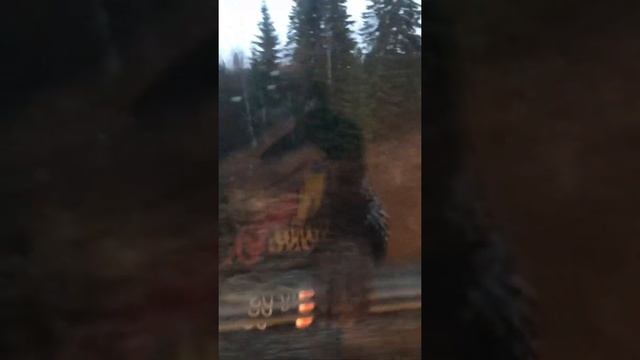 Проснулись и едем на Великий Устюг смотреть онлайн