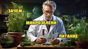 Питание для микрозелени. Готовим народный компот