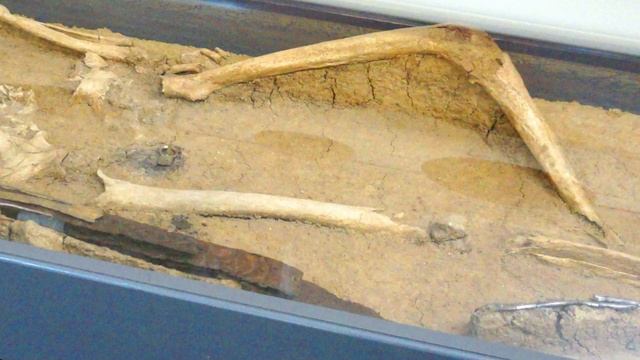 Лекция по археологии 2 смотреть онлайн